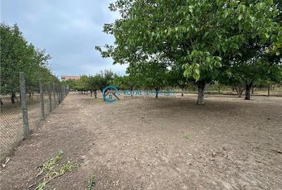 Royal Imobiliare - Vanzare vila zona Lipanesti - 35