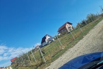 Teren de 650 mp, în Șura Mare - 1