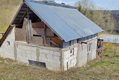 Casă cu 2 camere cu Teren 4000 Mp în Ursoaia - 3