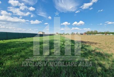 Teren agricol extravilan de 2600 mp, în Partoș - 2