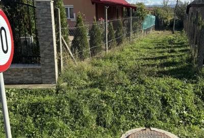 Teren Construcții intravilan de 9664 mp, în Viile Satu Mare - 2