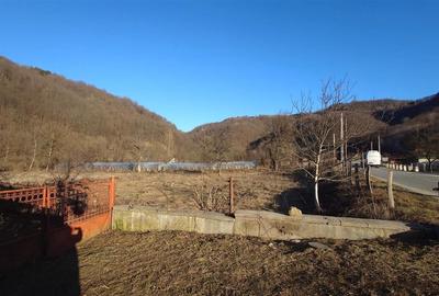 Proprietate cu potential in Apuseni - fosta pizzerie, ideala pentru afacere sau - 15