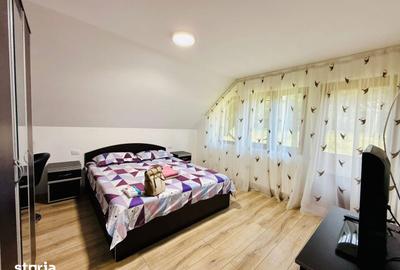Casă cu 4 camere cu Teren 5500 Mp în Pojorâta - 2