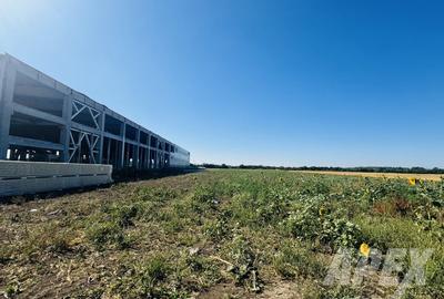 Teren industrial 16300mp | 60X275M | Centura Bucuresti - 8