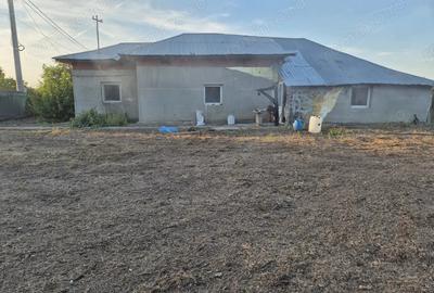 Vand casa ,teren,vie greaca giurgiu - 5