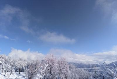 Teren superb, in mijlocul pădurii - 15
