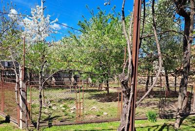 Casă cu 4 camere în Costești (Albac) - 3