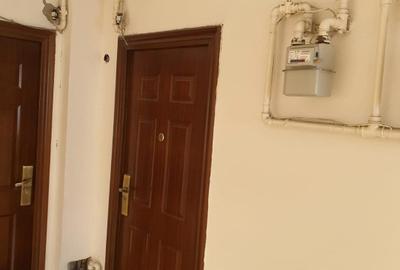 Apartament cu 2 camere decomandat în Ultracentral - 7