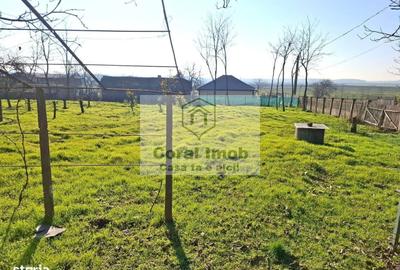 Casă cu 2 camere în Traian - 10