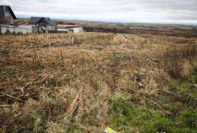 Teren de 5000 mp, în Central - 1