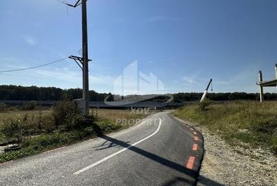 Constructie 3707 mp + Teren intravilan 8828 mp Sibiu /Selimbar - 13