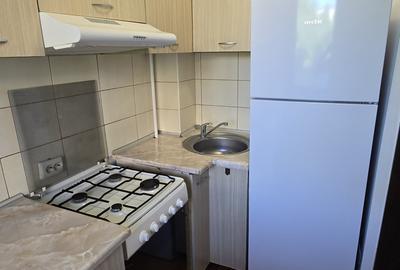 Garsonieră semidecomandată, mobilată în Valea Oltului - 9