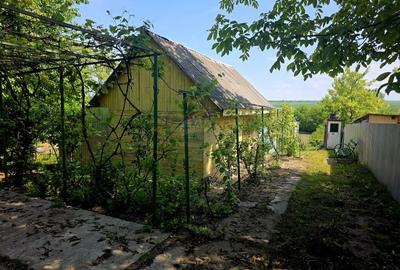 Teren Construcții intravilan de 4516 mp, în Doina - 9