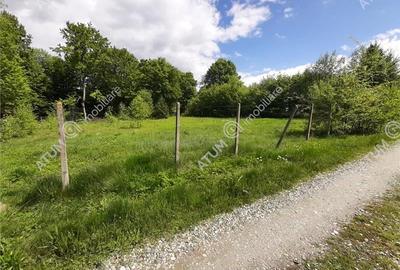 Teren pe Valea Avrigului cu curent si priveliste spre munti - 2