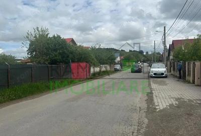 Teren de inchiriat-Sanpetru - 3