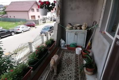 Casă cu gradina 1255mp cu sere, Copaceni , 25km de Cj-N,comision 0% - 5