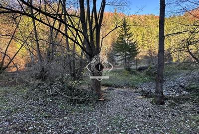 Teren 2.882 mp – oportunitate investitie - Cheile Dâmbovicioarei - 12