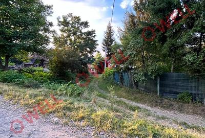 De vânzare casă în Dobolii de sus! - 6