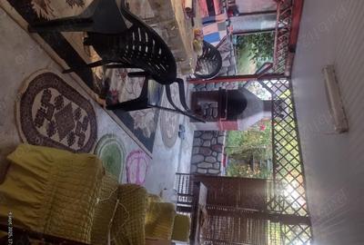 Casă cu 2 camere în Lipovăț - 2