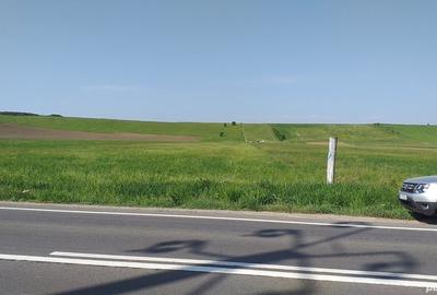 Teren de 18000 mp, în Feldioara - 5