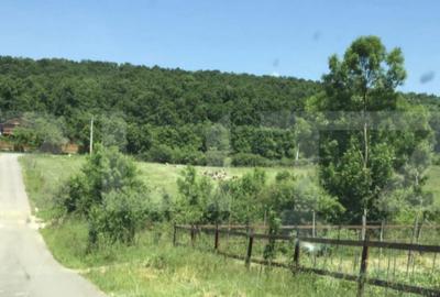 Oportunitate! Teren intravilan 1200 mp, Satul de Vacanta Pod - 3