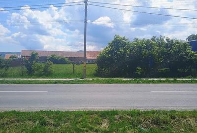 Teren de 4400 mp, în Cărpiniș - 9