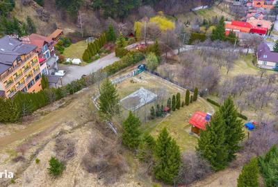 Spațiu comercial, în Satulung - 12