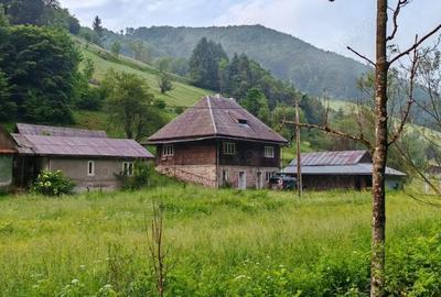 Casă cu 4 camere în Jojei - 2