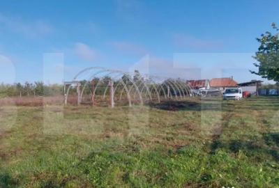 Casă cu 2 camere cu Teren 3200 Mp în Silagiu - 6