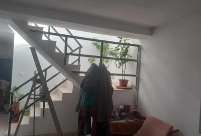 Casă individuală cu 4 camere cu Teren 3200 Mp în Toporu - 6