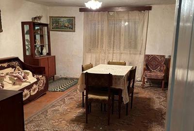Casa de vanzare Variasu Mare- pret redus- 36.500 euro - 3