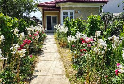 Gospodarie de vanzare Calui jud. Olt - 5