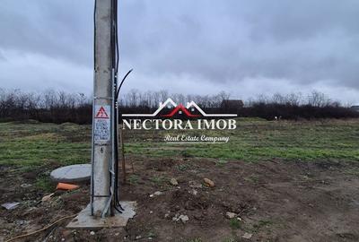 Teren de 501 mp, în Nojorid - 4