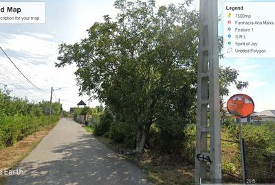 Balotesti Central Amurgului 500-2000mp - 9