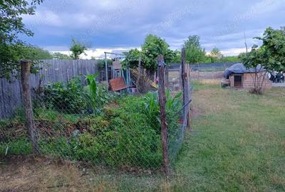 Casă cu 3 camere cu Teren 3000 Mp în Români - 5