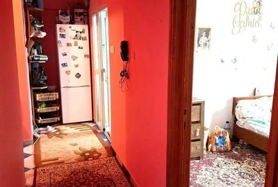 Apartament cu 2 camere decomandat în Broșteni - 4