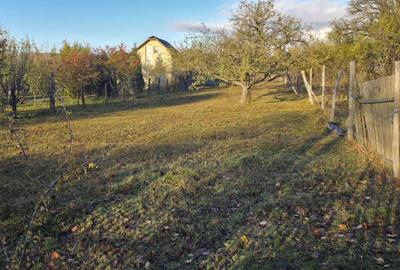 Teren de 1450 mp, în Valea Crișului - 2