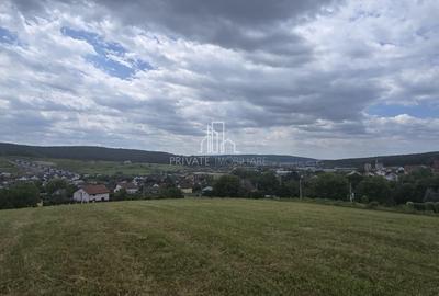 Parcele Teren de Vanzare(PUZ facut) 500 Mp, Str Progresului, Livezeni - 6