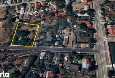 Casă cu 3 camere cu Teren 2200 Mp în Băneasa - 6
