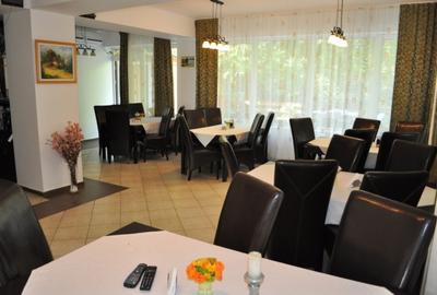 Spațiu comercial, de 500 mp, în Moneasa - 5