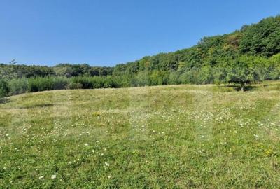 Teren de vanzare, 1Ha in apropiere de cartierul RAAL - 3