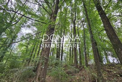 Teren de 5822 mp, în Central