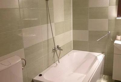 Garsoniera renovata zona Ferdinand - 2