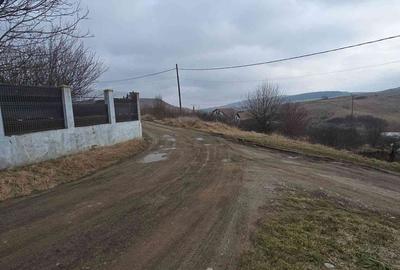 Teren de 756 mp, în Chinteni - 4