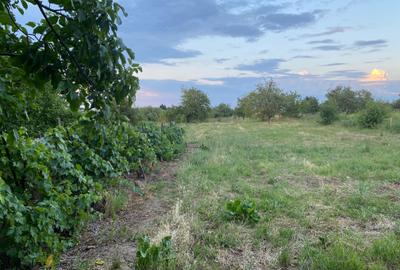 Casă cu 3 camere în Șișterea - 2