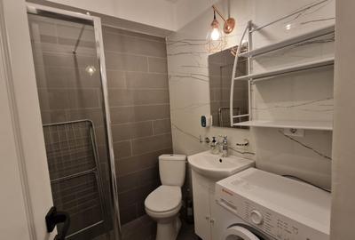 Garsoniera decomandata, 41mp, Centru, zona Piata Centrala - 5