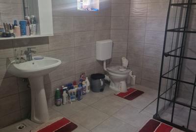 Casa D+P+M com. Sirineasa - 10