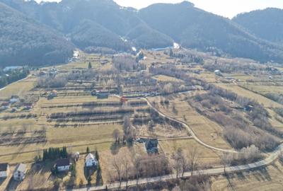 Teren Construcții intravilan de 4043 mp, în Predeluț - 8