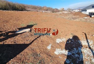 Teren de vanzare zona Piata Cetate cu utilitatile racordate Teren de vanzare zona Piata Cetate cu utilitatile racordate - 3