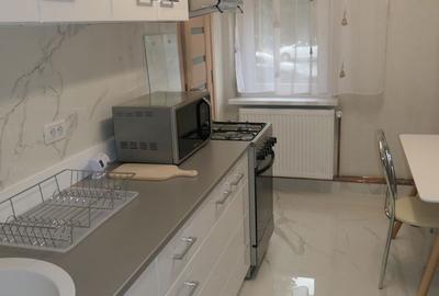 Apartament cu 2 camere decomandat în Banu Mărăcine - 4